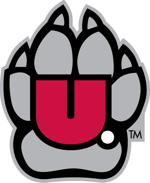 South Dakota Coyotes 2004-2011 Alternate Logo v2 iron on transfers for fabric